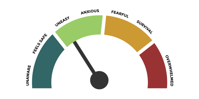 An anxiety pressure gauge. From left-to-right, it shows a blue area, green area, yellow area and red area. The labels beside each, from left-to-right are: unaware, feels safe, uneasy, anxious, fearful, survival, and overwhelmed. The arrow is at the green "uneasy" area.